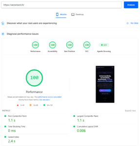 Kaip patikrinti svetainės greitį su PageSpeed Insights